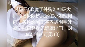 《极品CD魔手外购》神级大师商场极限抄底多位小姐姐裙内，各种透网丁字内裤阴毛外露，白裙骚女无奶罩出门一对车灯清晰可见 (3)