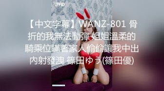 【中文字幕】WANZ-801 骨折的我無法動彈 姐姐溫柔的騎乘位瞞著家人偷偷讓我中出內射發洩 篠田ゆう(篠田優)