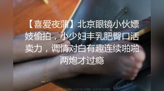 【喜爱夜蒲】北京眼镜小伙嫖妓偷拍，小少妇丰乳肥臀口活卖力，调情对白有趣连续啪啪两炮才过瘾