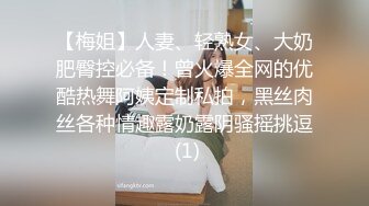 【梅姐】人妻、轻熟女、大奶肥臀控必备！曾火爆全网的优酷热舞阿姨定制私拍，黑丝肉丝各种情趣露奶露阴骚摇挑逗 (1)