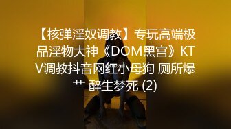 【核弹淫奴调教】专玩高端极品淫物大神《DOM黑宫》KTV调教抖音网红小母狗 厕所爆艹 醉生梦死 (2)