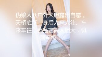 伪娘人妖户外大胆露出自慰，天桥底下，身后人来人往、车来车往，真是艺高人胆大，佩服至极！